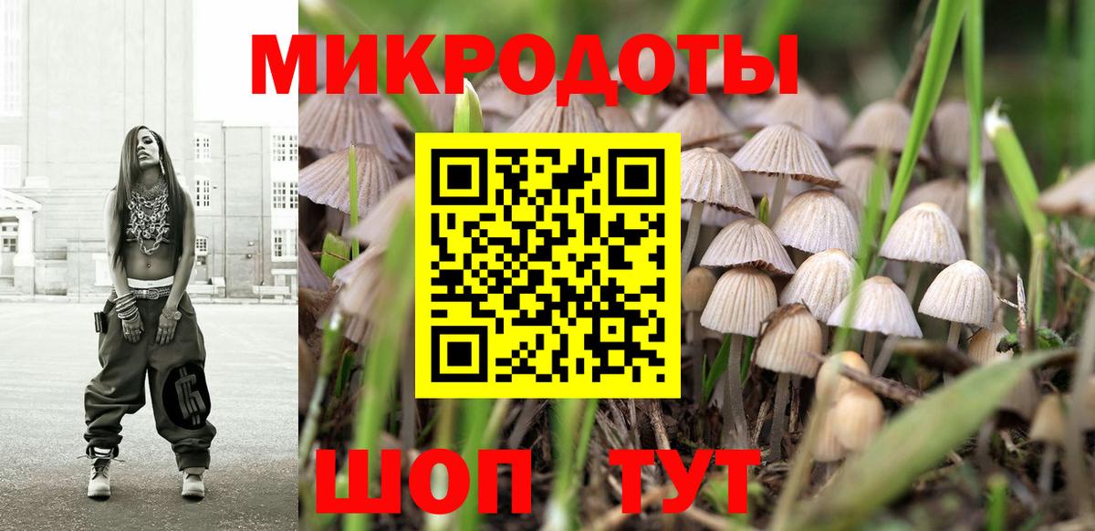 Галлюциногенные грибы Psilocybe  Псилоцибиновые грибы Psilocybine cubensis  Вход с VPN  Татарск 
